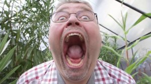 10 необычных рекордов гиннеса