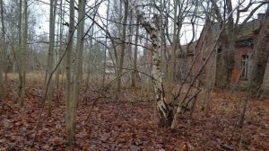 ГСВГ. Ютербог2. Расположение подразделений в/ч 60883,58639 18.01.2022