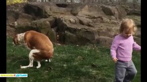 СМОТРЕТЬ БЕСПЛАТНО ПРИКОЛЫ ПРО ДЕТЕЙ ДО СЛЕЗ. СМЕШНЫЕ ВИДЕО ПРО ДЕТЕЙ