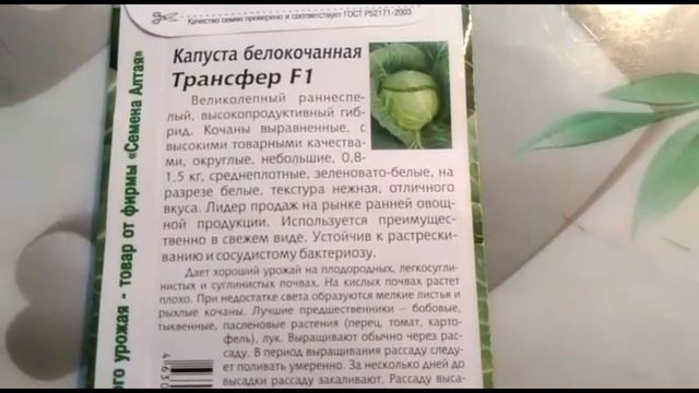 Капуста. Раннеспелый белокочанный гибрид - Трансфер F1 смотреть онлайн