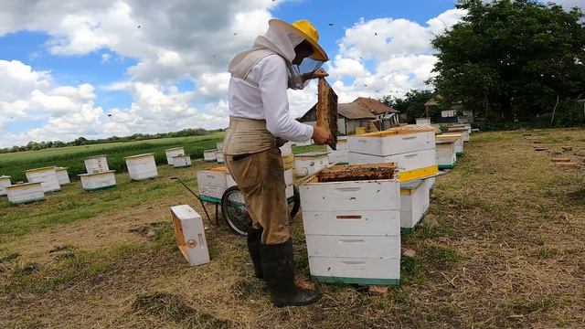 ||ДЕНЬ 91|| Второй день качки. смотреть онлайн