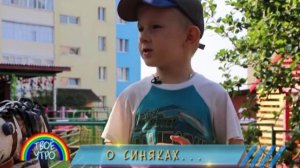 Отчего образуются синяки: объясняем детям.