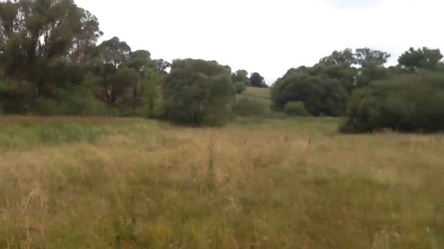 Дорога домой яблочный спас Любостань смотреть онлайн