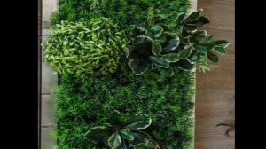 Декоративные картины из натурального мха и искуственных растений на заказ Украшение любого интерьер