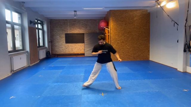 Capoeira Tutorial German Basic Steps ( ARMADA PULADA) смотреть онлайн