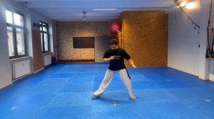 Capoeira Tutorial German Basic Steps ( ARMADA PULADA)