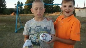 ВРАТАРСКИЕ ПЕРЧАТКИ ИЗ СКОТЧА ??? | NIGA TV