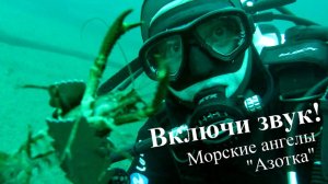 Азотка Морские ангелы