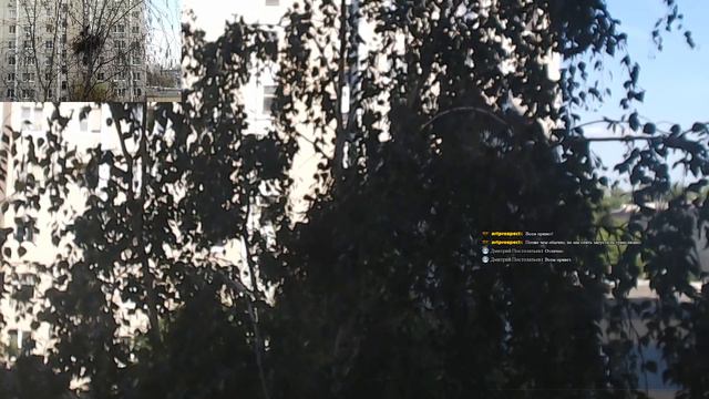 Эксперимент по Наблюдению за гнездом с Сороками 08.06.20г. смотреть онлайн