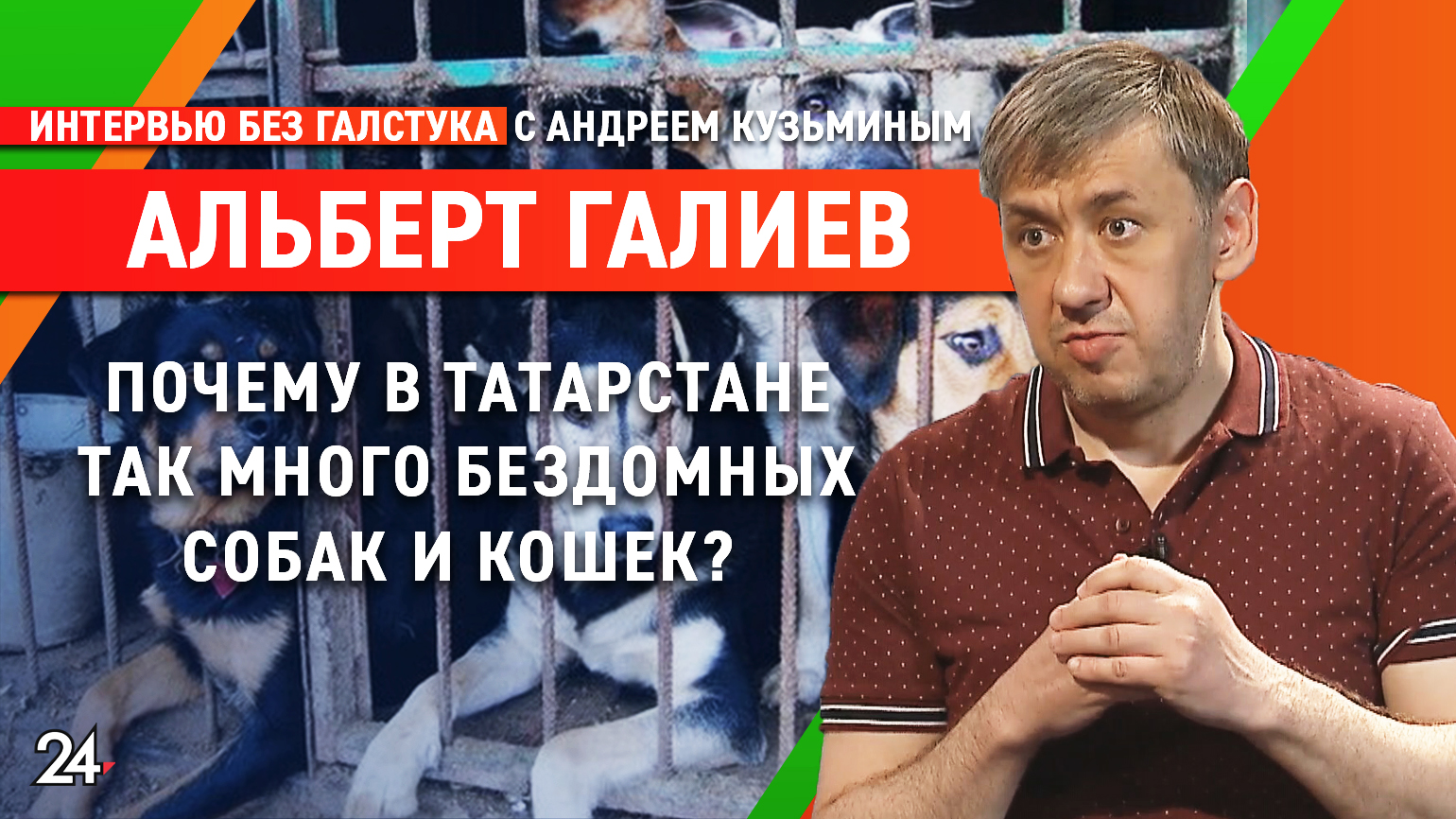 «Когда собака бывает кусачей?» / глава приюта «Пес и кот» Альберт Галиев– Интервью без галстука