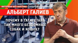 «Когда собака бывает кусачей?» / глава приюта «Пес и кот» Альберт Галиев– Интервью без галстука