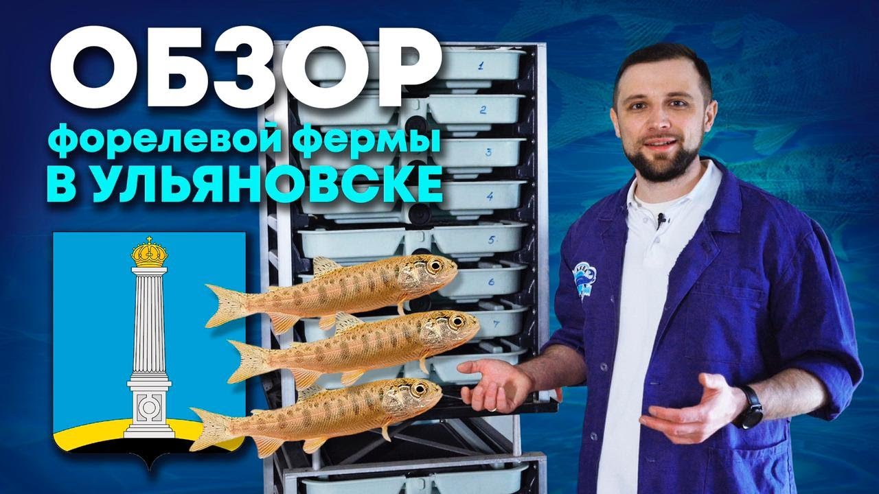 Как ОБЫЧНОЕ ЗДАНИЕ превратить в ФЕРМУ УЗВ для ФОРЕЛИ? | Обзор ФОРЕЛЕВОЙ фермы УЗВ в Ульяновске