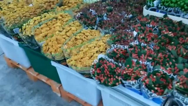 Покупаем цветы для бабушки к 8 марта))) цветочная база Floreville (флорэвиль)в Москве