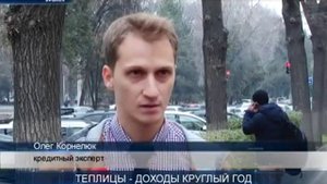 Теплицы доходы круглый год