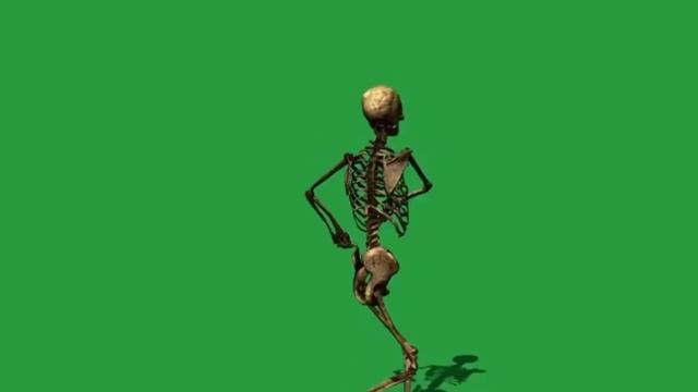 Видео прикол .Я ору с себя смотреть онлайн