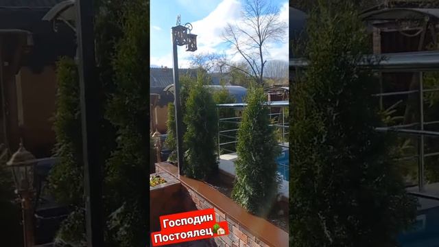 Господин Постоялец! Приглашаем на отдых в Адыгею, уютные номера, кафе, банька, бассейн СПА, для Вас смотреть онлайн