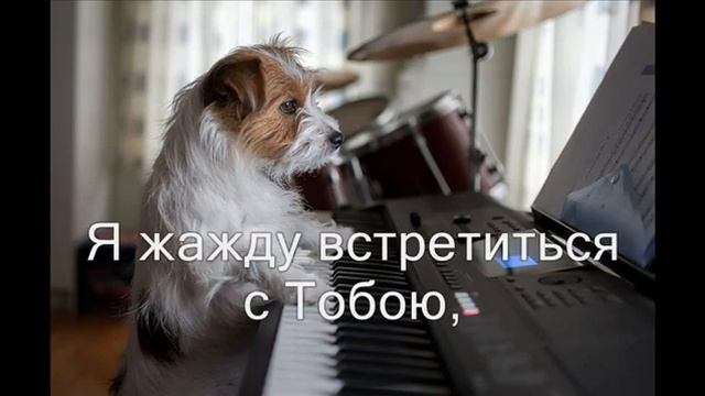 Ибо душу мою Ты спас от смерти (Буду ходить пред лицом Господним) Христианское караоке смотреть онлайн