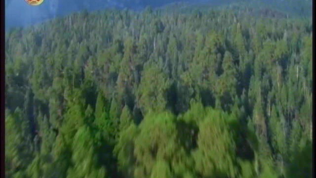 წიგნი დაბადებისა