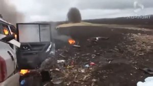 Номинанты на премию Дарвина