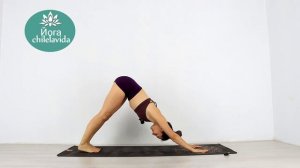 СУРЬЯ НАМАСКАР Приветствие солнцу - Йога с утра - Йога chilelavida