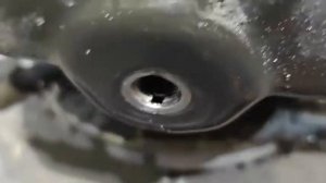 Почему течёт поддон AUDI Q7 TOUAREG?