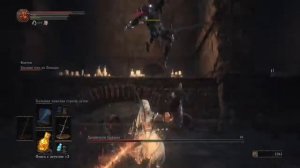 DARK SOULS 3 - хранители Бездны (+фантом)