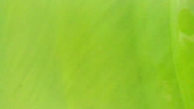 Изумрудные пляжи Строгино))) смотреть онлайн