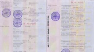 Как оформить и получить ПТС на авто из Белоруссии?