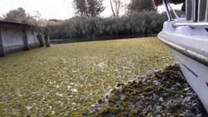 Село Маяки Беляевского района Одесской области Днестр (осень 2019)