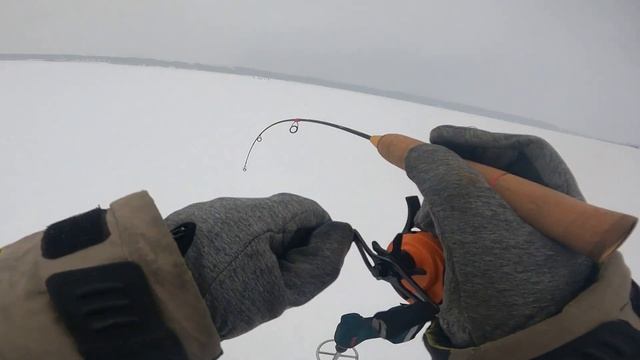 Сылва . Судак из под бели смотреть онлайн