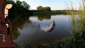 Попали на Бешеный клёв Густеры на реке Сок Зачетная Рыбалка с донками