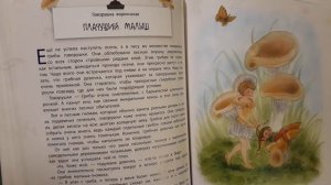 Истории сказочного леса. Лесные малыши. Говорушка ворончатая.Плачущий малыш.