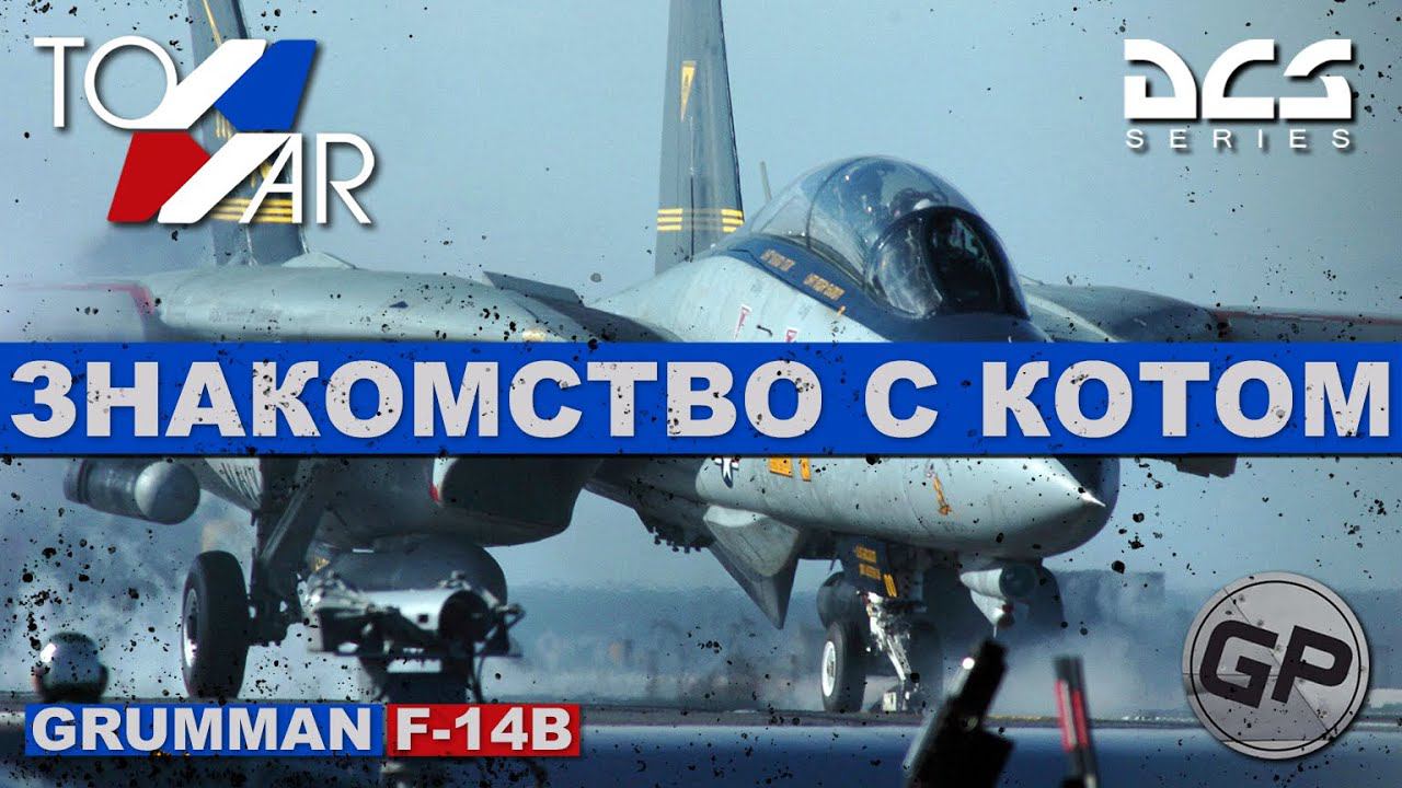 F-14B Tomcat Знакомство с Котом (DCS World) #TomWar 1 #F14