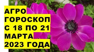 Агрогороскоп с 18 по 21 марта 2023 года. Агрогороскоп з 18 по 21 березня 2023 року