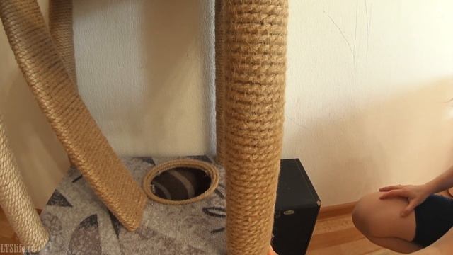 Обзор кошачьего домика! Сделали с своими руками!