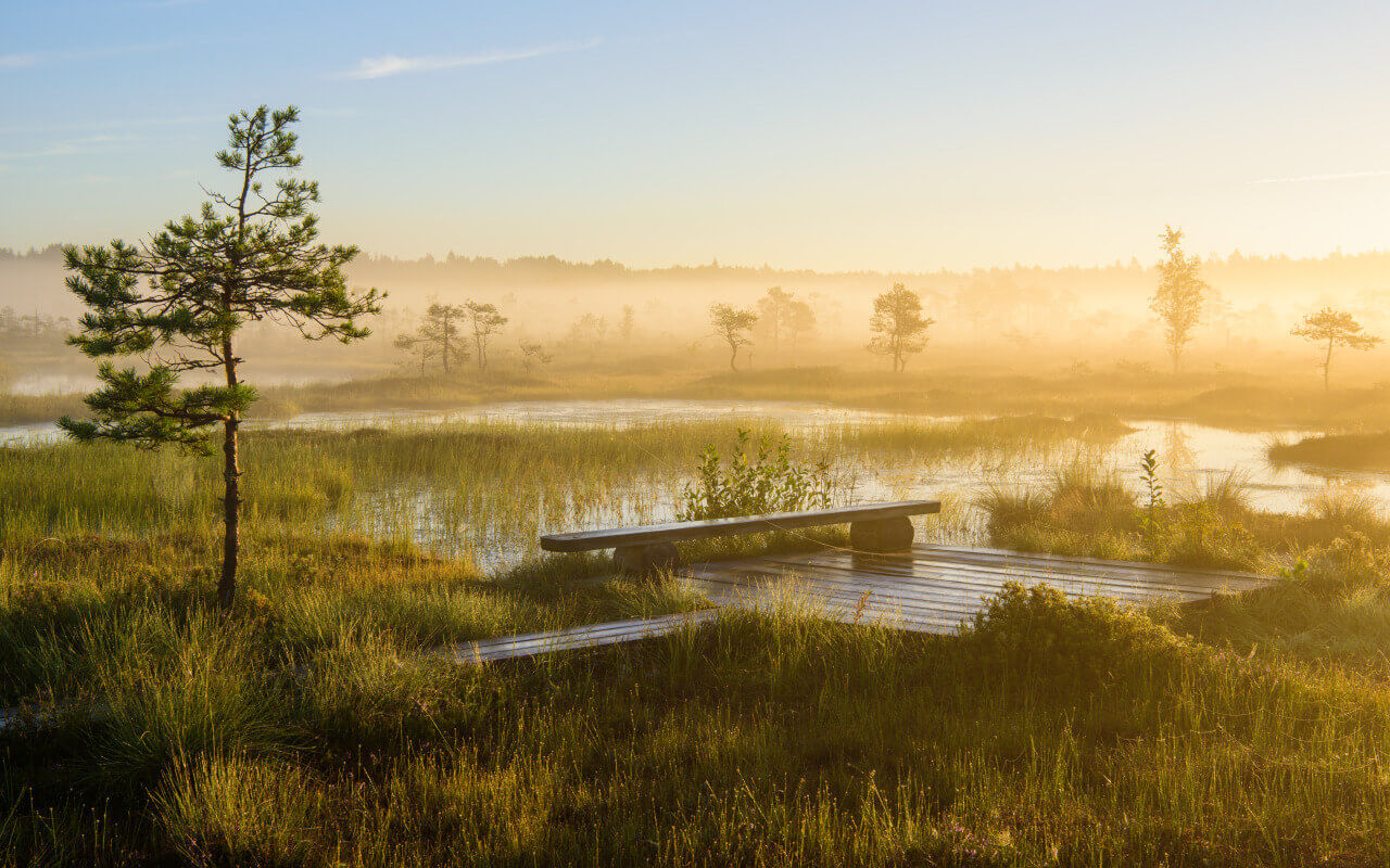 Национальный парк Соомаа в Эстонии