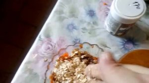 Йоркширский терьер. Гигиена, кормление, утренняя прогулка. Советы.