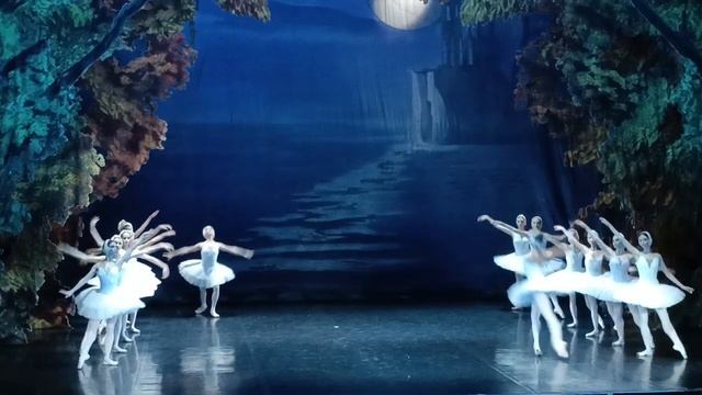 Танец маленьких лебедей. #лебединоеозеро #эрмитажныйтеатр #санктпетербург