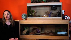 Ball Python Vivarium Setup #3. Substrate and humidity