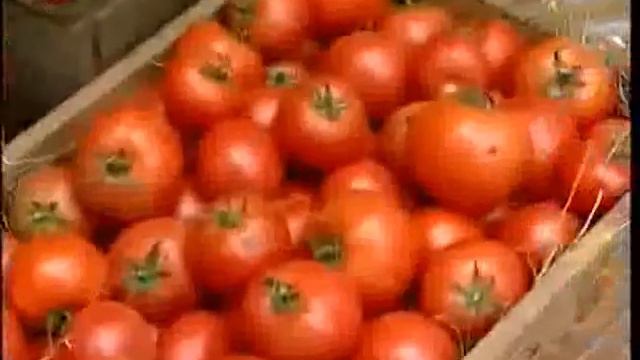 "Доброго ранку, Україно!" сюжет "Здорове харчування" смотреть онлайн