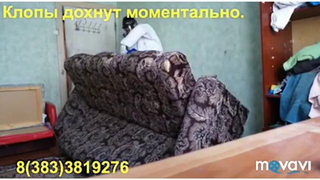 Клопы дохнут моментально. смотреть онлайн