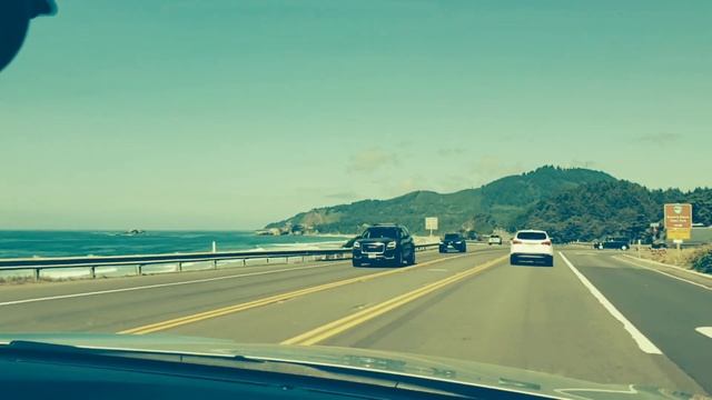 Грибы вешенка смотреть онлайн