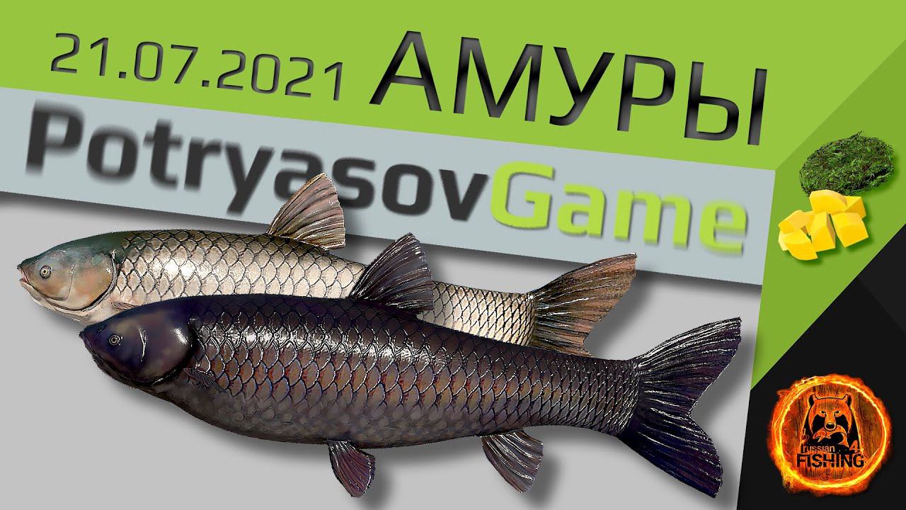 Русская Рыбалка 4 - Старый острог Белый и Черный амур, фарм опыта в СЧ (Место ловли для форума). смотреть онлайн