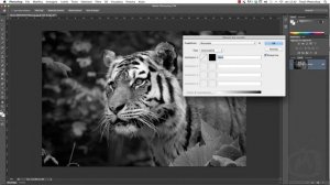 Photoshop CS6 - Convertire immagini da RGB a due tonalità