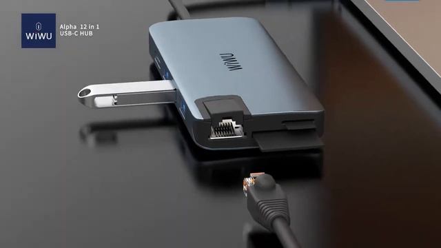 WiWU Alpha 12 in 1 Type C hub