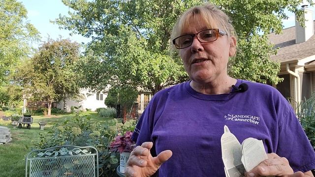 Backyard Garden Makeover Part 1 смотреть онлайн