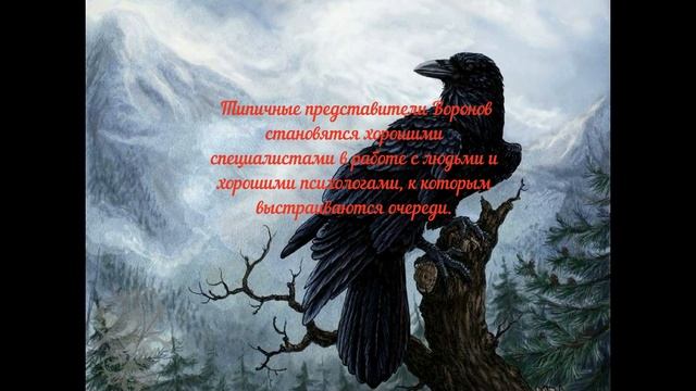 Славянский гороскоп зверей : Люди рожденные под знаком Ворон (10 февраля — 9 марта) смотреть онлайн