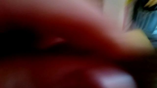 засорилась раковина плохо уходит вода из раковины
