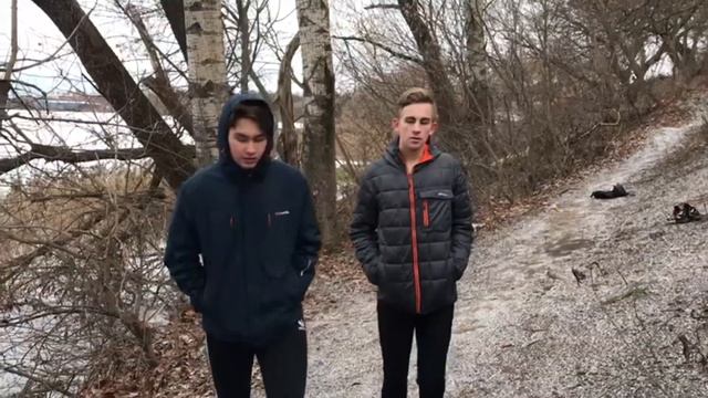 ЛЕСНАЯ МАГИЯ