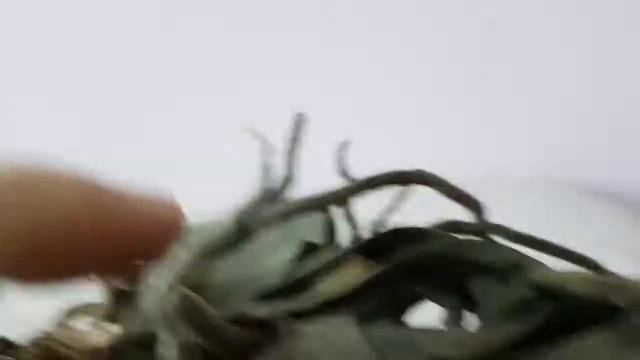 comment pulvériser une orchidée en fleur смотреть онлайн